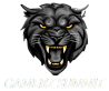 gamerzsummit.com